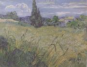 Vincent Van Gogh Green Wheat Field with Cypress (nn04) USA oil painting reproduction
